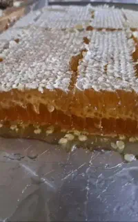 عسل صد درصد طبیعی کوهستان