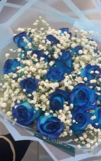 گل فروشی ۲ تومن