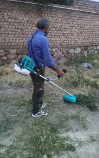 علف زنی