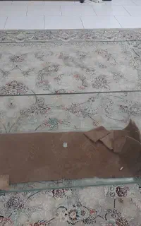 اکواریوم