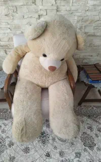 خرس