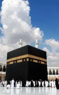 دوفقره فیش حج واجب فروشی تجریش