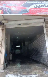 کار در کارواش و تشخیص رنگ هامین