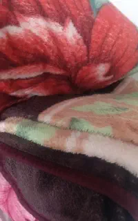 پخش لوازم خانگی و پتو