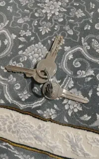پیداشدن
