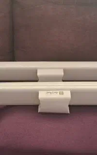 دو عدد مهتابی دوقلو