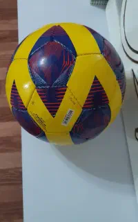 توپ چمنی مولتن