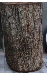 کنده-