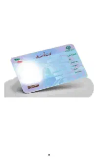 پیدا شده