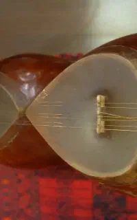 آموزش تار و سه تار