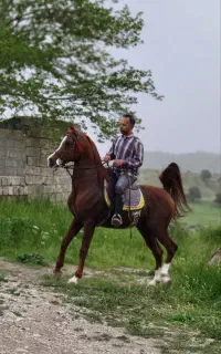 سیلمی جهت کشش