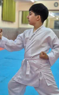 باشگاه و آموزش کاراته تخصصی