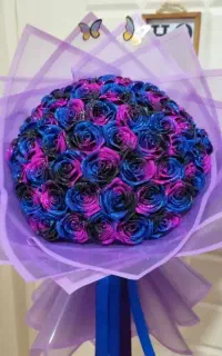 شیک کادو بده/سوپرایزی