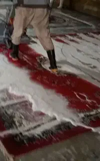 قالیشویی بیست
