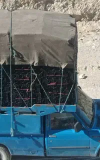 نیسان بار معمولی و کمپرسی