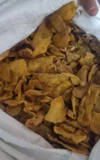 ترشاله شمس