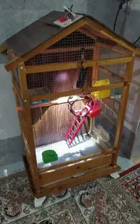 قفس کلبه ای