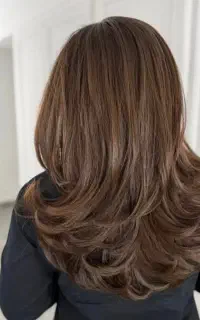 مدل رایگان برای کوتاهی