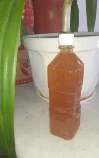 سرکه انگبین