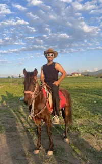 اسب کرد جوان