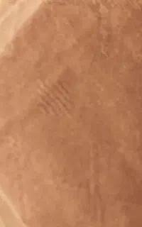 موکت