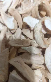 سیب خشک شده  اجیلی مجلسی  ودمنوش