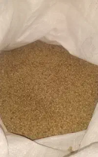 عدس بوجاری شده درجه یک خوشپخت