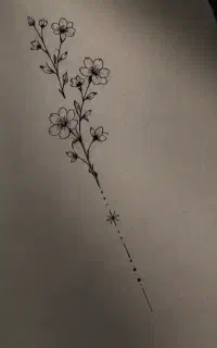 مدل تتو