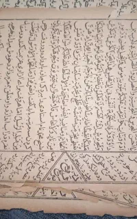 طالع بینی