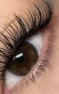 آموزش ناخن مژه کراتین شینیون میکاپ بافت رنگ ولایت