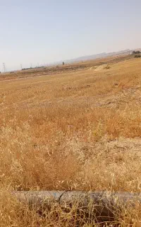 سلام کارگر هستم