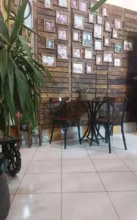 میزوصندلی نهارخوری تونت لهستانی 2026