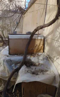 فروش قفس مرغ و خروس