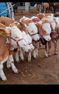 اعتماد شما سرمایه ماست