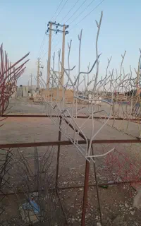 تولید انواع حفاظ شاخ گوزنی و نرده نیزه ای