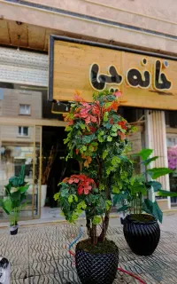 درختچه مصنوعی انجیلی