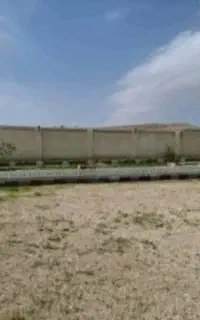 حری دار زمین