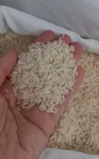 برنج ایرانی میانه (مامان)