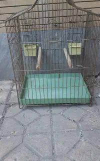 قفس عروس