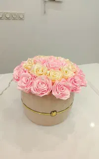 فروش فوری