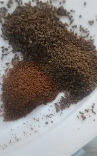 خوراک ماهی
