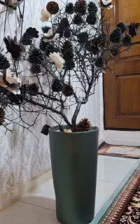 درخچه طبیعی