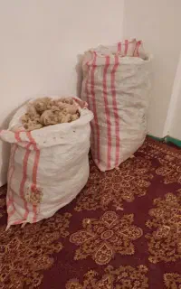 پشم گوسفند و کرک پرز رنگی