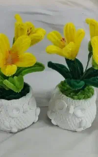 گل‌های قشنگ مخملی