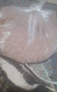 گندم خورد شده