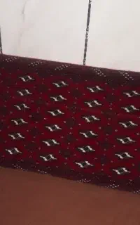 پشتی