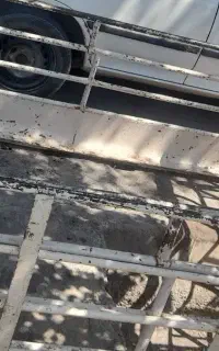 باربند