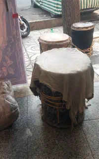 پوست دمام