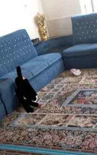 مبل ۷ نفره ال
