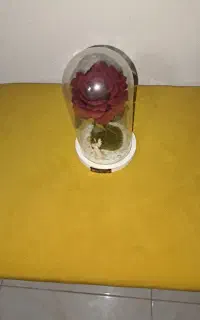 باکس گل رز تکی